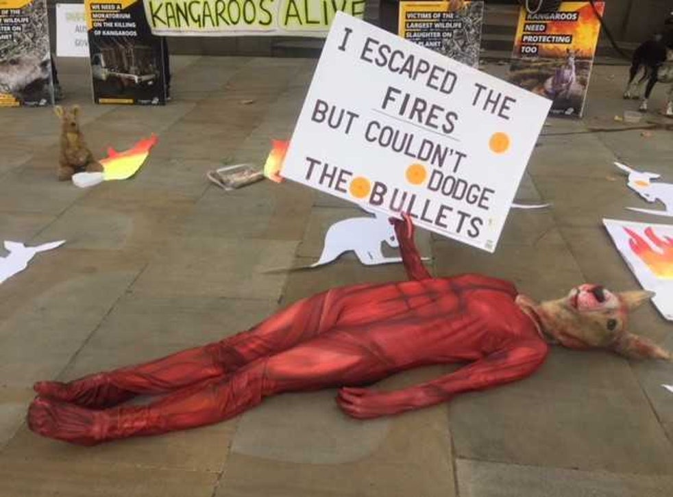 <p>A protest against the culling of kangaroos outside the Australian High Commission</p>