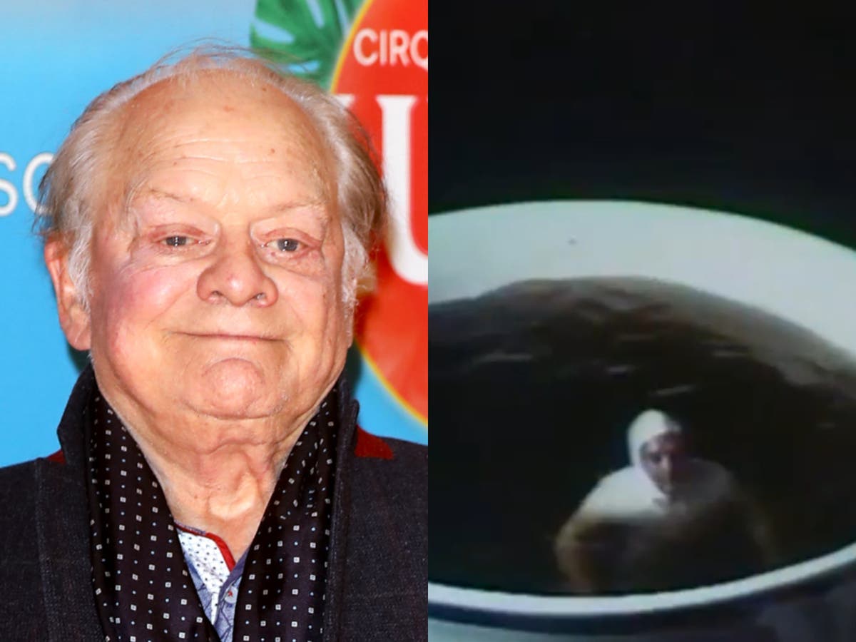 Only Fools and Horses star David Jason ‘nearly killed by giant sugar cube’ while filming PG Tips advert