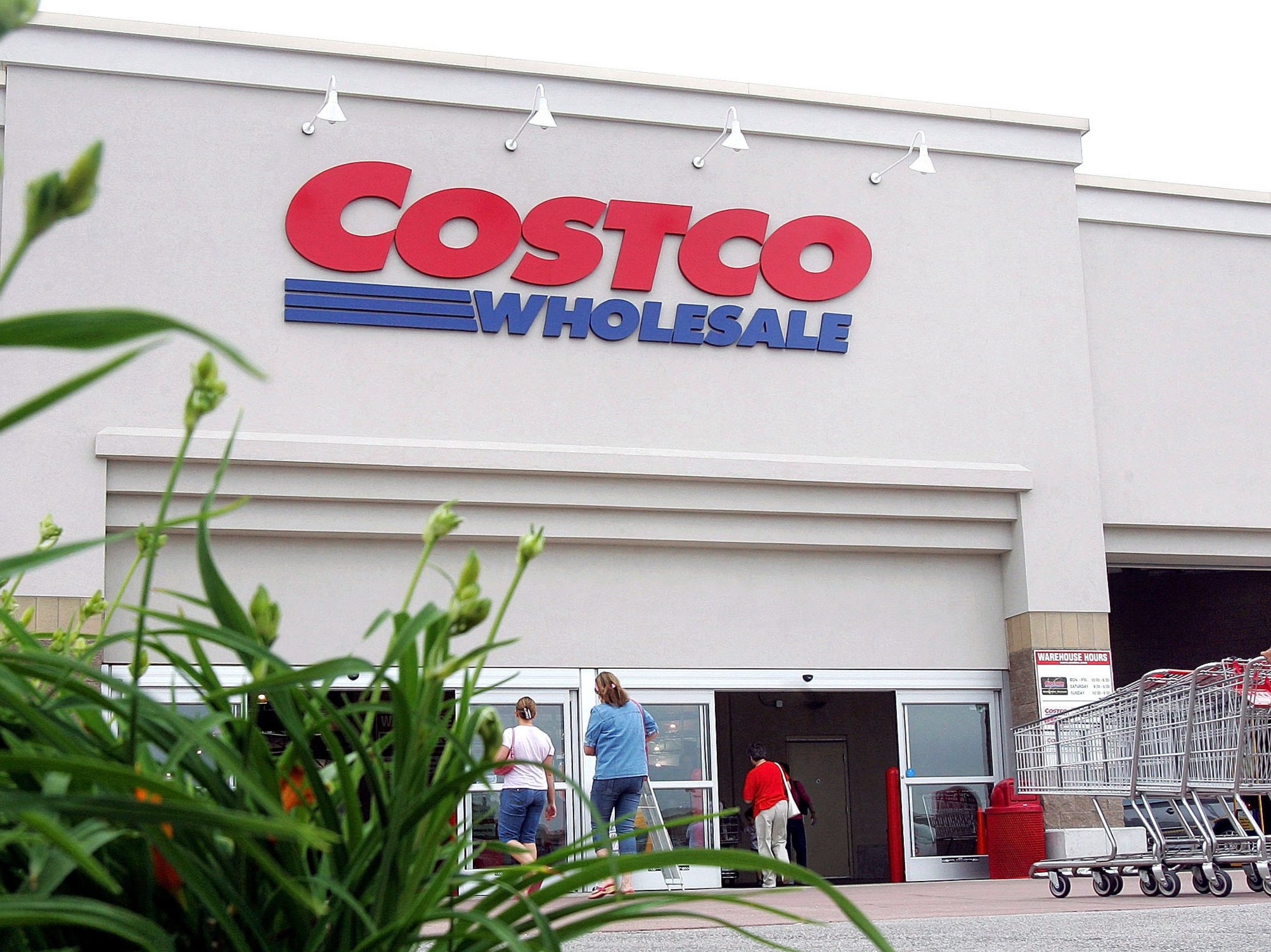 Costco stops selling coconut milk brand after allegations of monkey labour, Peta says