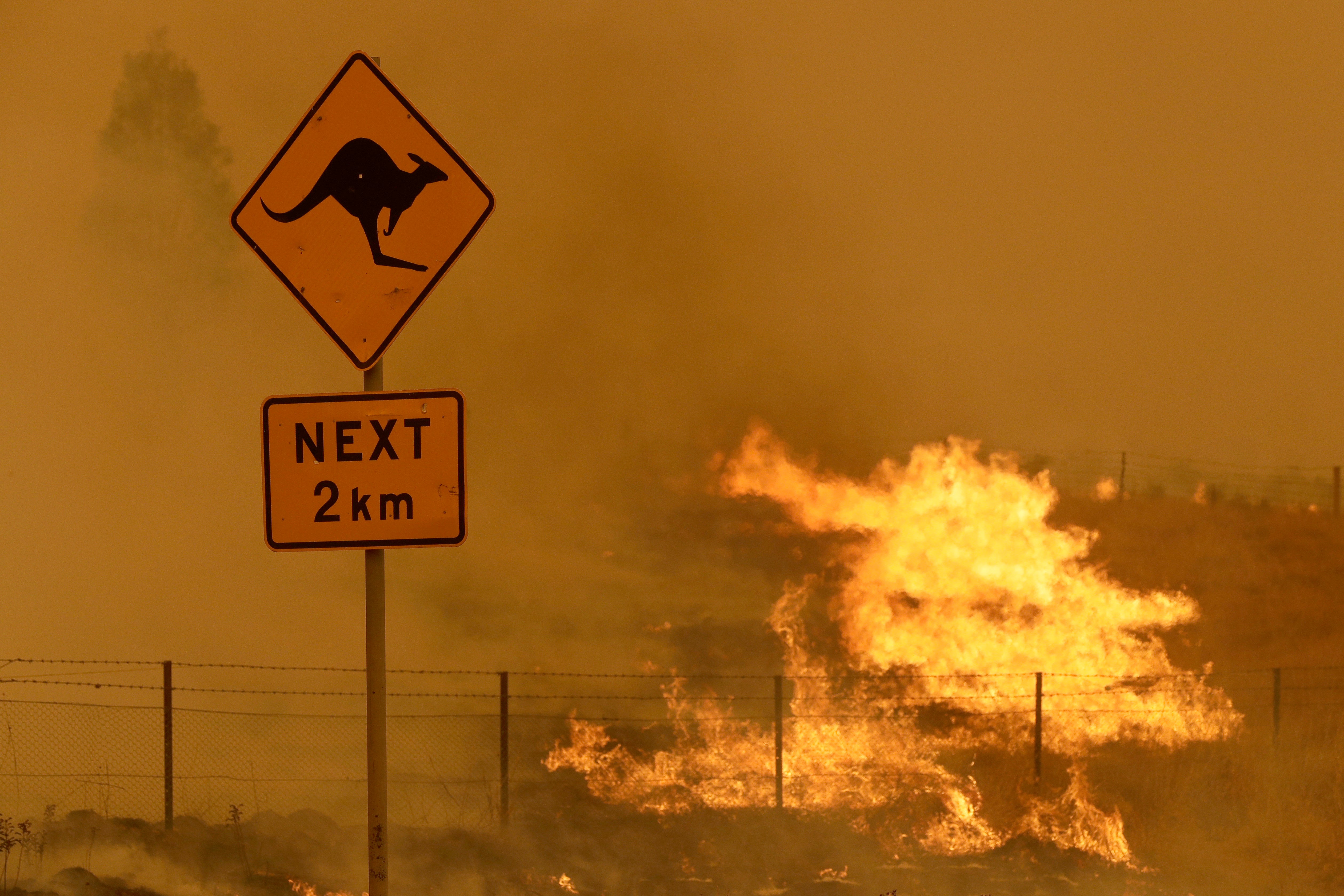 Australia Wildfire Climate