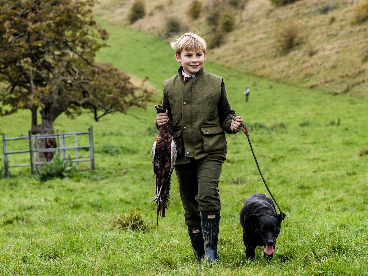 Game-bird shooting will need licences, ministers announce – days before  legal battle | The Independent