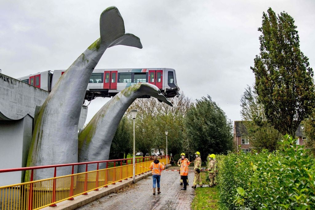 Rotterdam train ploughs through barrier before being stopped by whale sculpture Rotterdam train ploughs through barrier before being stopped by whale sculpture