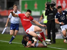 ‘I know how they feel’: Adams sympathises with frustrated Wales fans