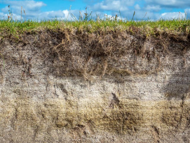 Soils contain between two and three times as much carbon as the atmosphere, but the warmer it gets, the faster it is lost