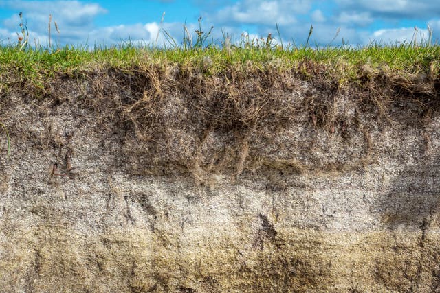 Soils contain between two and three times as much carbon as the atmosphere, but the warmer it gets, the faster it is lost
