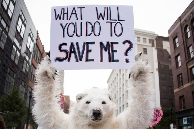 An anti-global warming protester at Republican convention