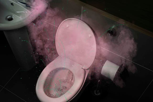 Three in five Britons are unaware of the risks of not closing the toilet lid when flushing