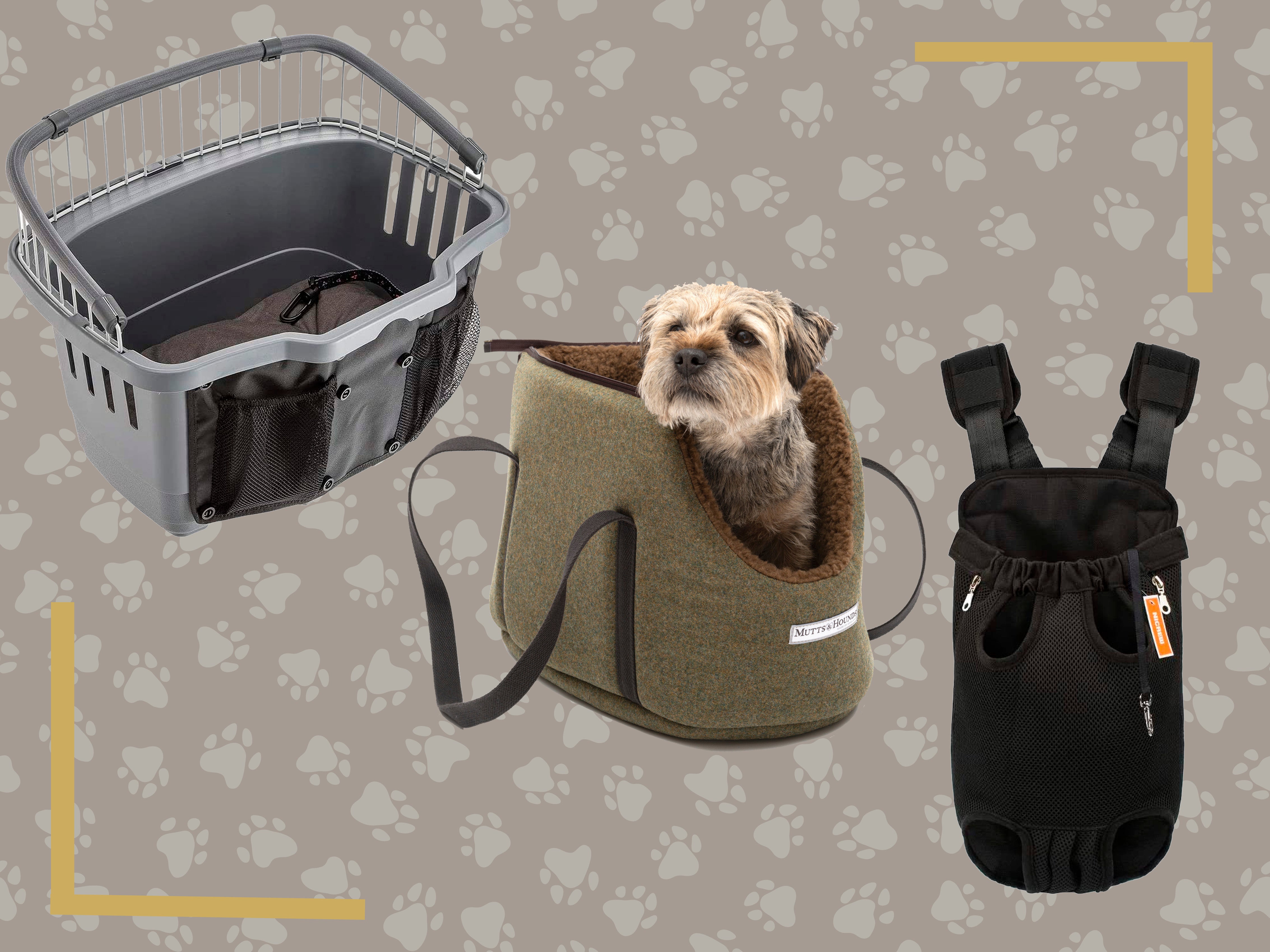 9 best dog carriers for transporting puppies and older hounds
