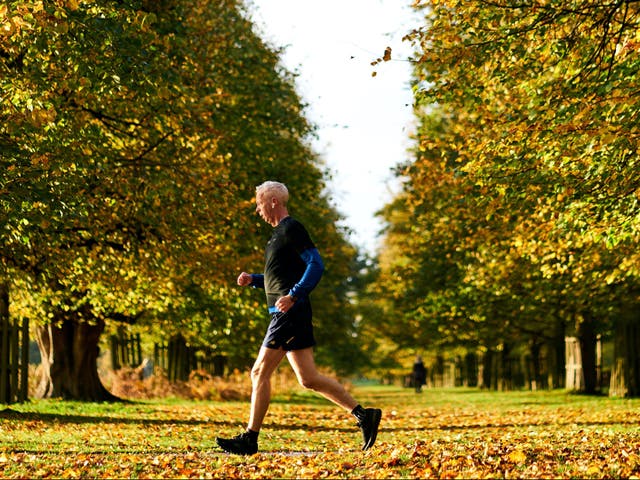 A runner jogs in Bushy Park, west London, on 28 October, 2020. 