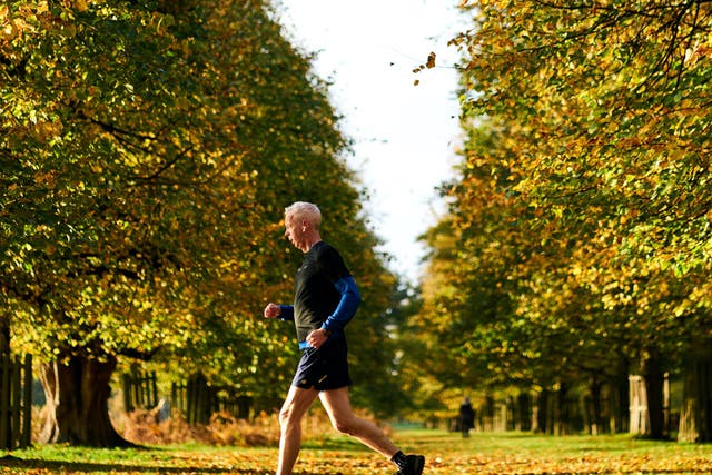 A runner jogs in Bushy Park, west London, on 28 October, 2020. 