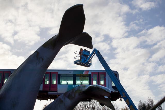 Netherlands Metro Whale