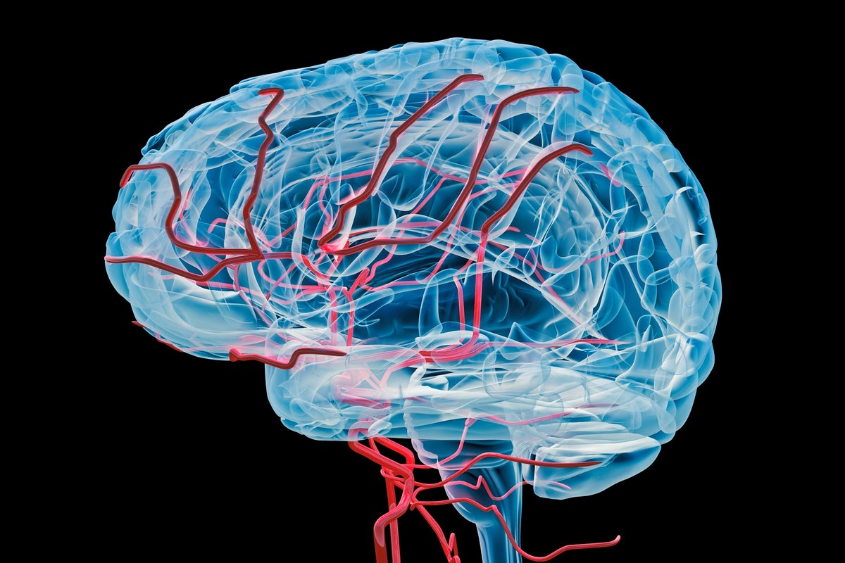 Mileage clock' found inside brain could help diagnose Alzheimer's