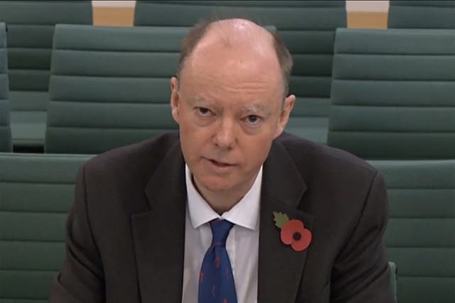 Chief medical officer Chris Whitty gives evidence to the Commons Science and Technology Committee