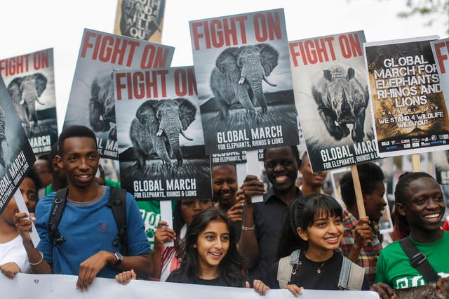 Demonstrators hold up placards as they march in support of protecting elephants, rhinos and lions and to raise awareness that they are endangered species, in downtown Nairobi, Kenya on 15 October 2016.