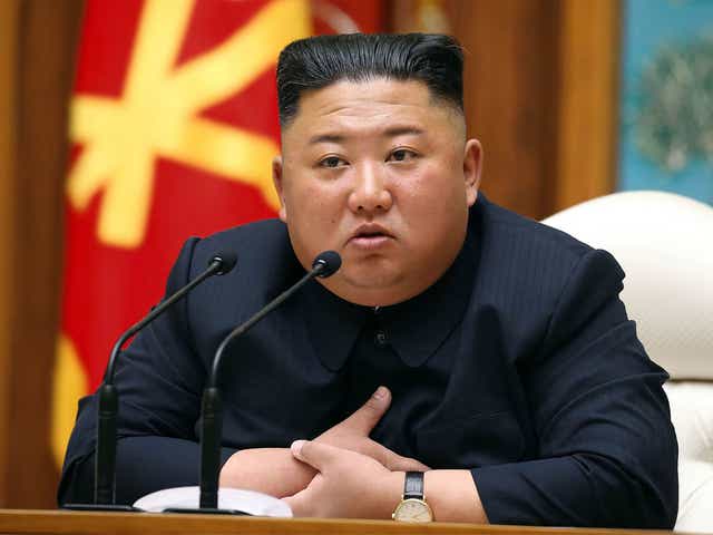 <p>Experts have said it is unlikely North Korea has got away without a single Covid-19 case</p>