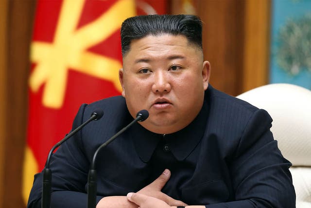 <p>Experts have said it is unlikely North Korea has got away without a single Covid-19 case</p>