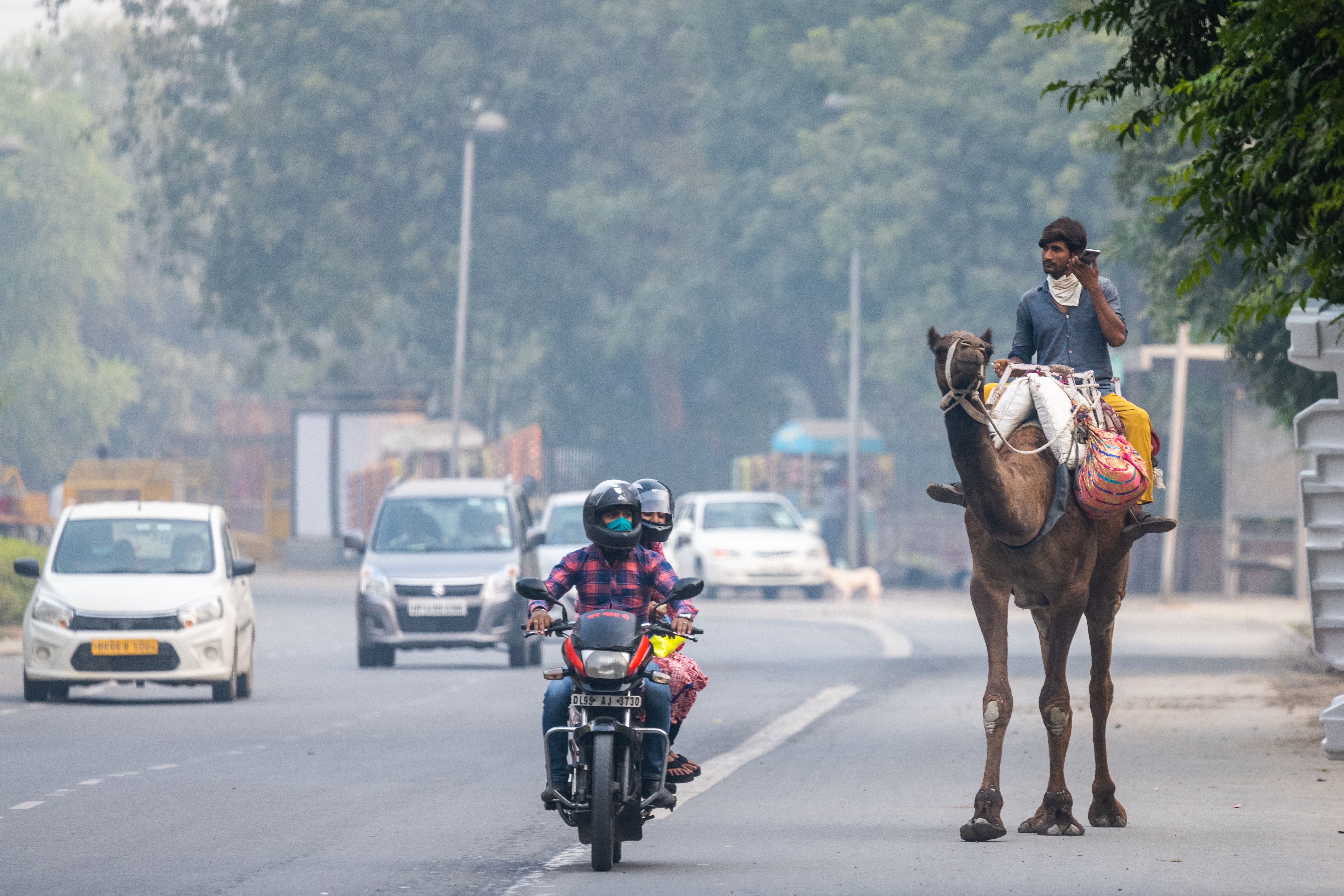A man rides his camel along a street amid smoggy conditions in Delhi on 5 November, 2020