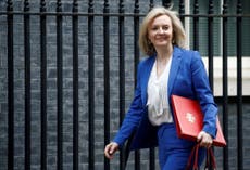 Truss’s tariff ‘wins’ in Japan deal are for items UK doesn’t export