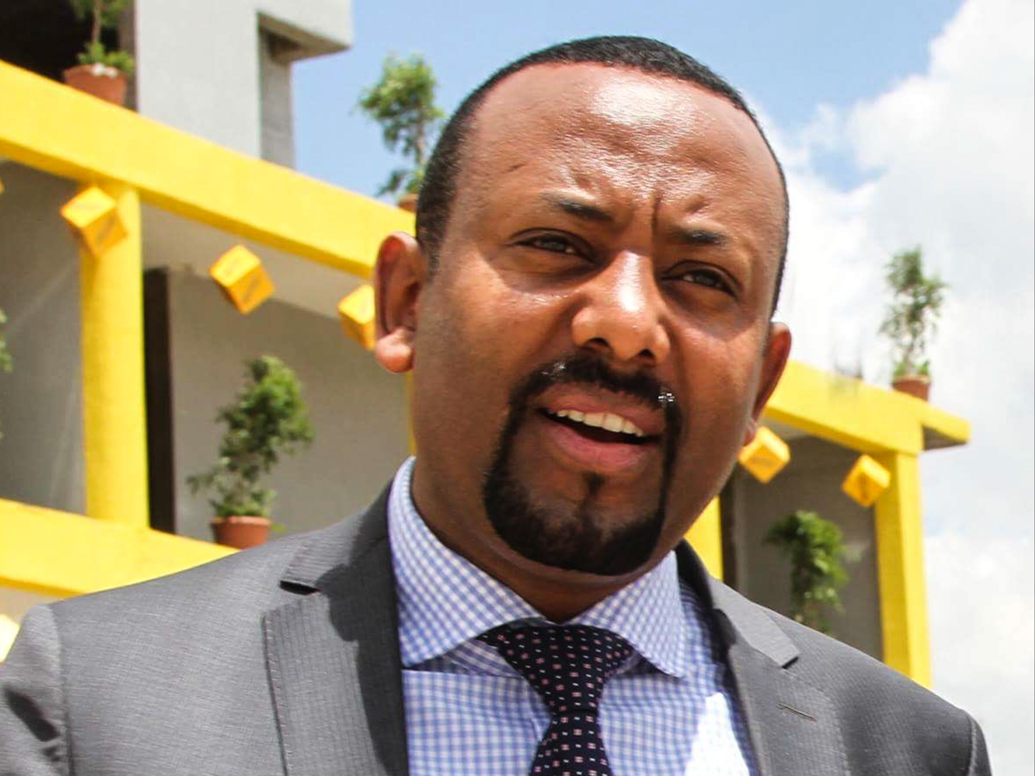 Ethiopian prime minister Abiy Ahmed has mobilised the nation’s troops as country veers towards civil war