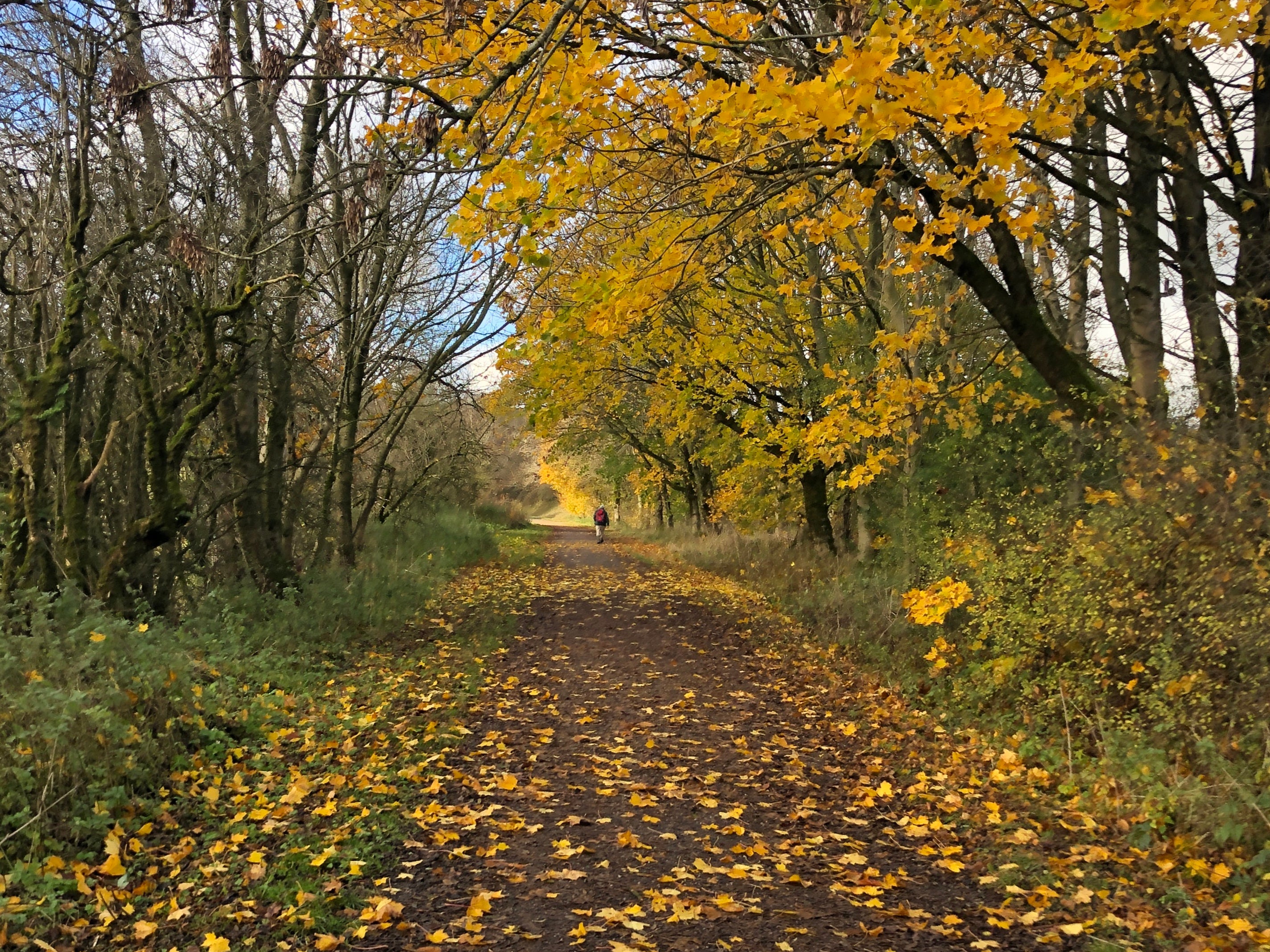 Travel during lockdown 2.0: Over the hills, but not too far away