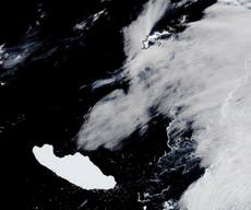  Melting of Antarctica’s Larsen C Ice Shelf at 40-year record high