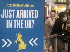 Denmark: Travel ban on non-British arrivals to UK over mink mutation
