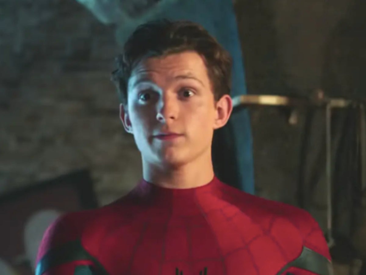 Spider-Man 3: First image of Tom Holland sums up 2020 perfectly | The  Independent