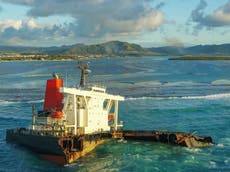 Tests spark fears Mauritius oil spill contained ‘Frankenstein fuels’