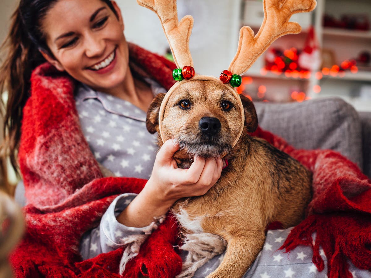 ‘Coronavirus can’t take away the magic’: Christmas comes early as people put up decorations in November to spread joy