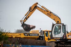 Denmark wants to ban mink farming until end 2021