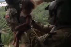 Three-year-old girl airlifted to safety after Storm Eta hits Honduras