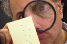 Trump election challenge not same as 2000 Florida recount