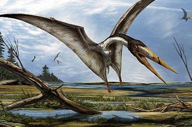 <p>Una impresión artística emitida por Davide Bonadonna de Alanqa del norte de África, que según los paleantólogos se parece a la especie de pterosaurio recién descubierta.</p>