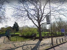 Appeal for witnesses after five men attempt to rape woman in park