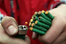 Two cats killed after fireworks were strapped to them and set alight