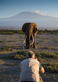 Go behind the scenes on our exclusive wildlife photographs