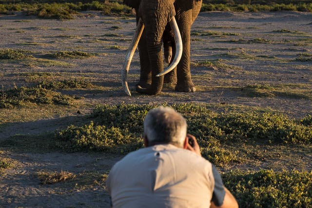 David Yarrow steps out of his vehicle to photograph Craig the elephant