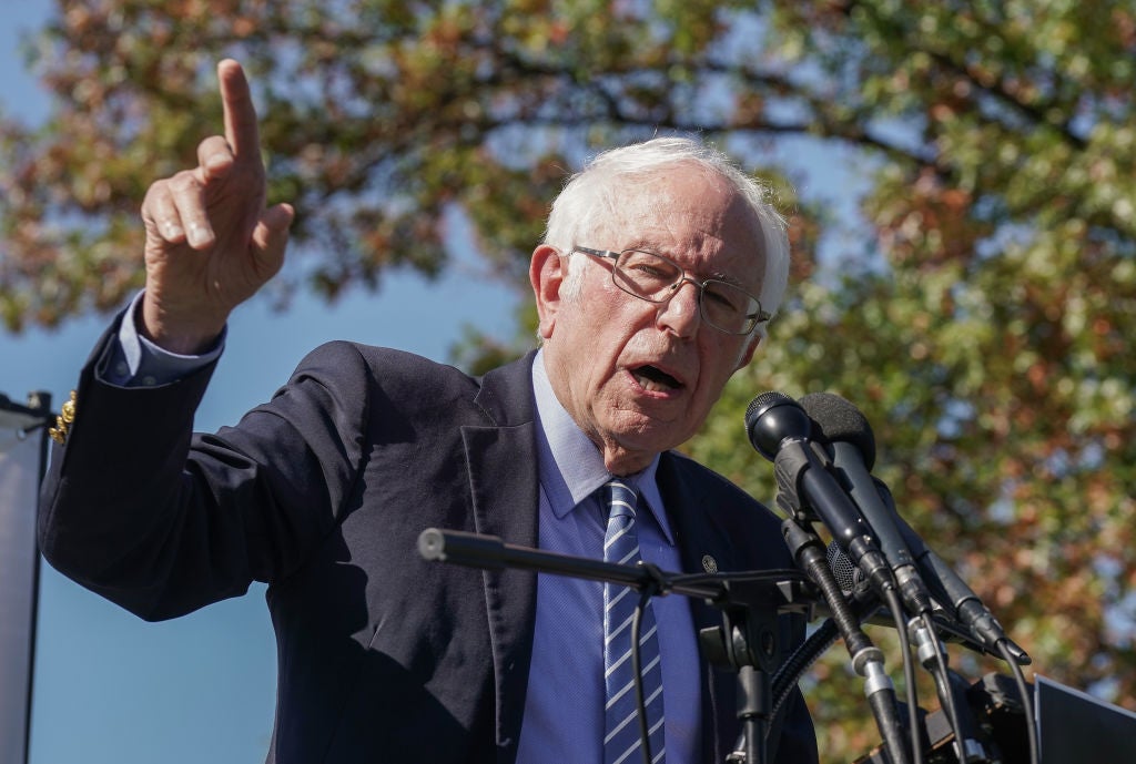 <p>Sanders lost out to Biden in Democratic primary</p>