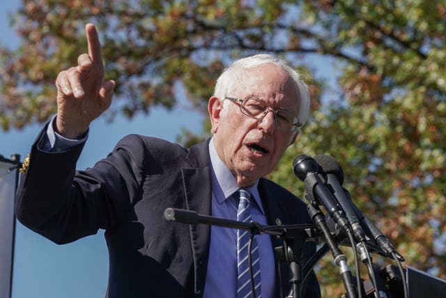 <p>Sanders lost out to Biden in Democratic primary</p>