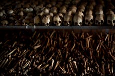 Rwandan genocide suspect enters not guilty pleas at UN court