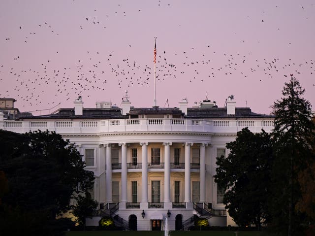 Birds fly over the White House at dusk, the day after a presidential election victory was called for former Vice President Joe Biden