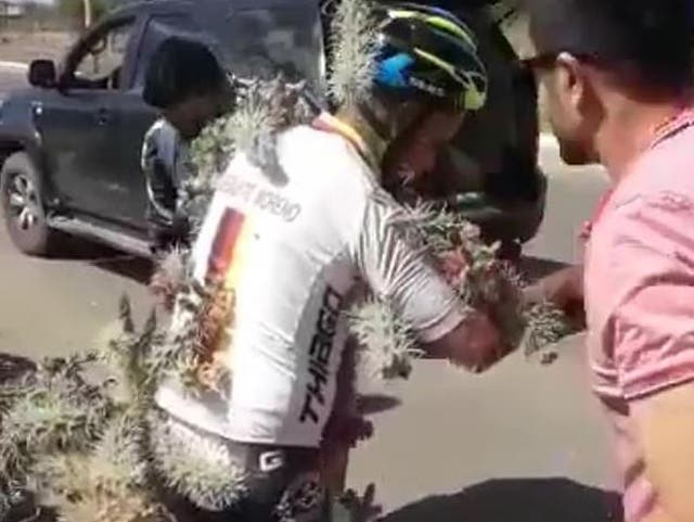 Footage recorded at the scene shows Mr Moreno with chunks of cacti sticking out of his body