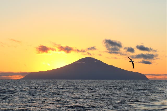 <p>The isolated archipelago of Tristan da Cunha is home to many marine creatures that are globally threatened&nbsp;</p>