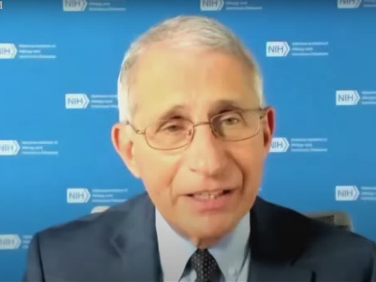 coronavirus mink strain should not pose threat to success of covid 19 vaccines dr fauci says the independent