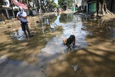 Drone footage shows scale of damage from the typhoon in Philippines