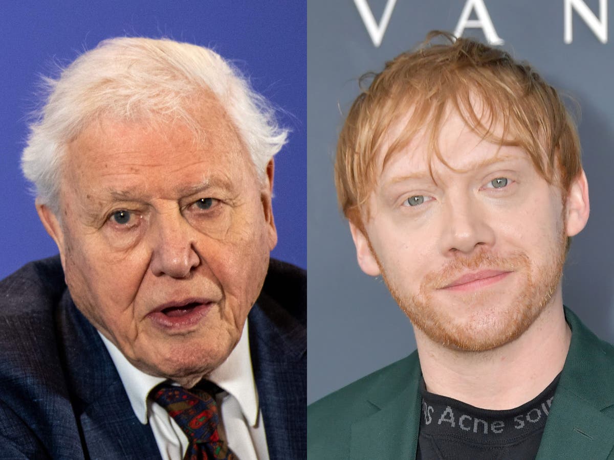 Rupert Grint beats Instagram record set by David Attenborough, becoming fastest user to reach 1m followers