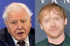 Rupert Grint beats Instagram record set by David Attenborough