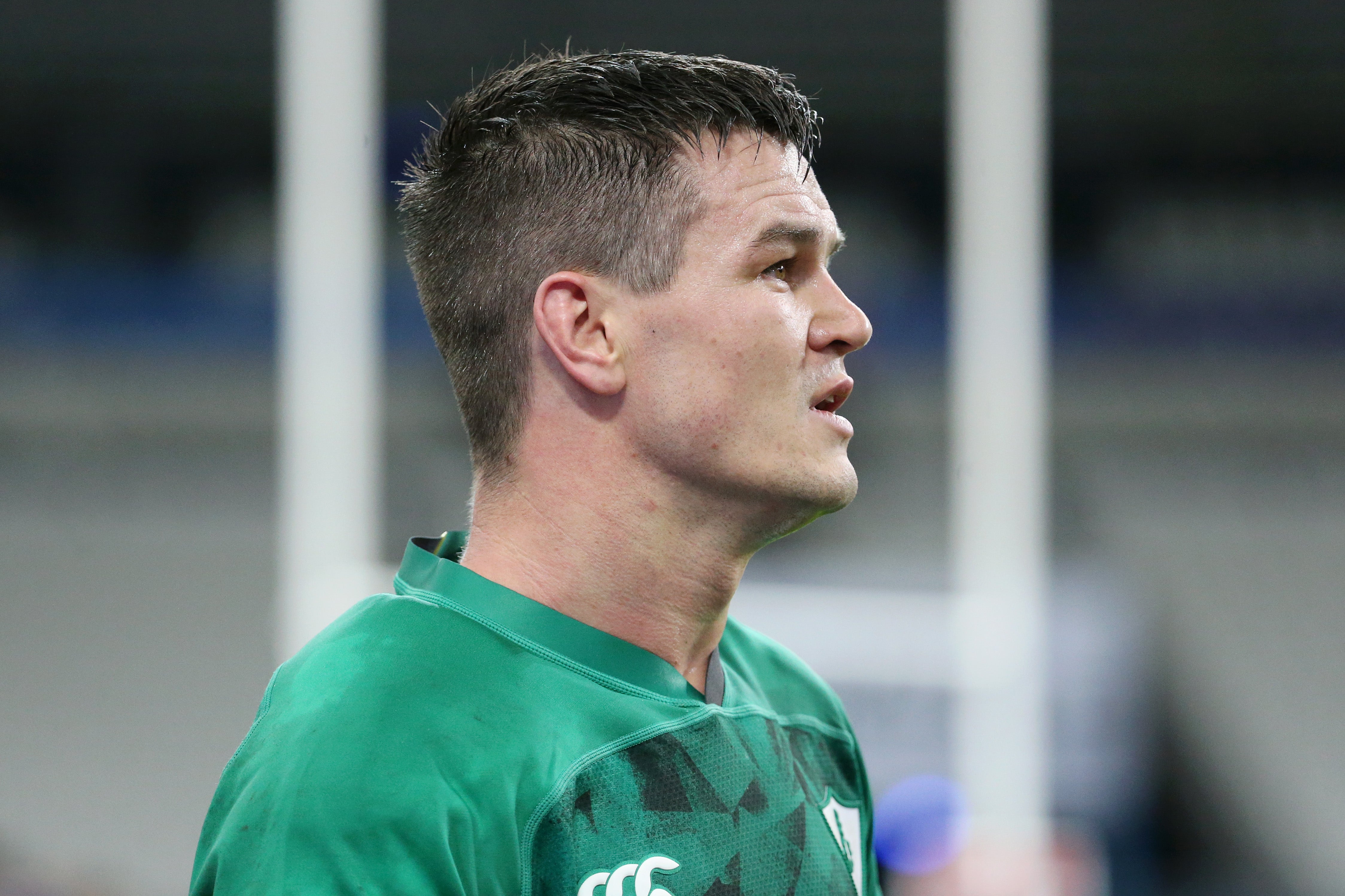 Ireland captain Johnny Sexton was forced off with a hamstring strain