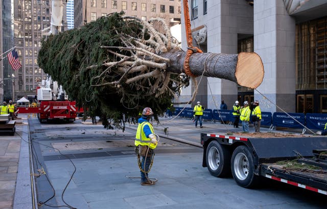 <p>El árbol será decorado con ocho kilómetros de luces</p>