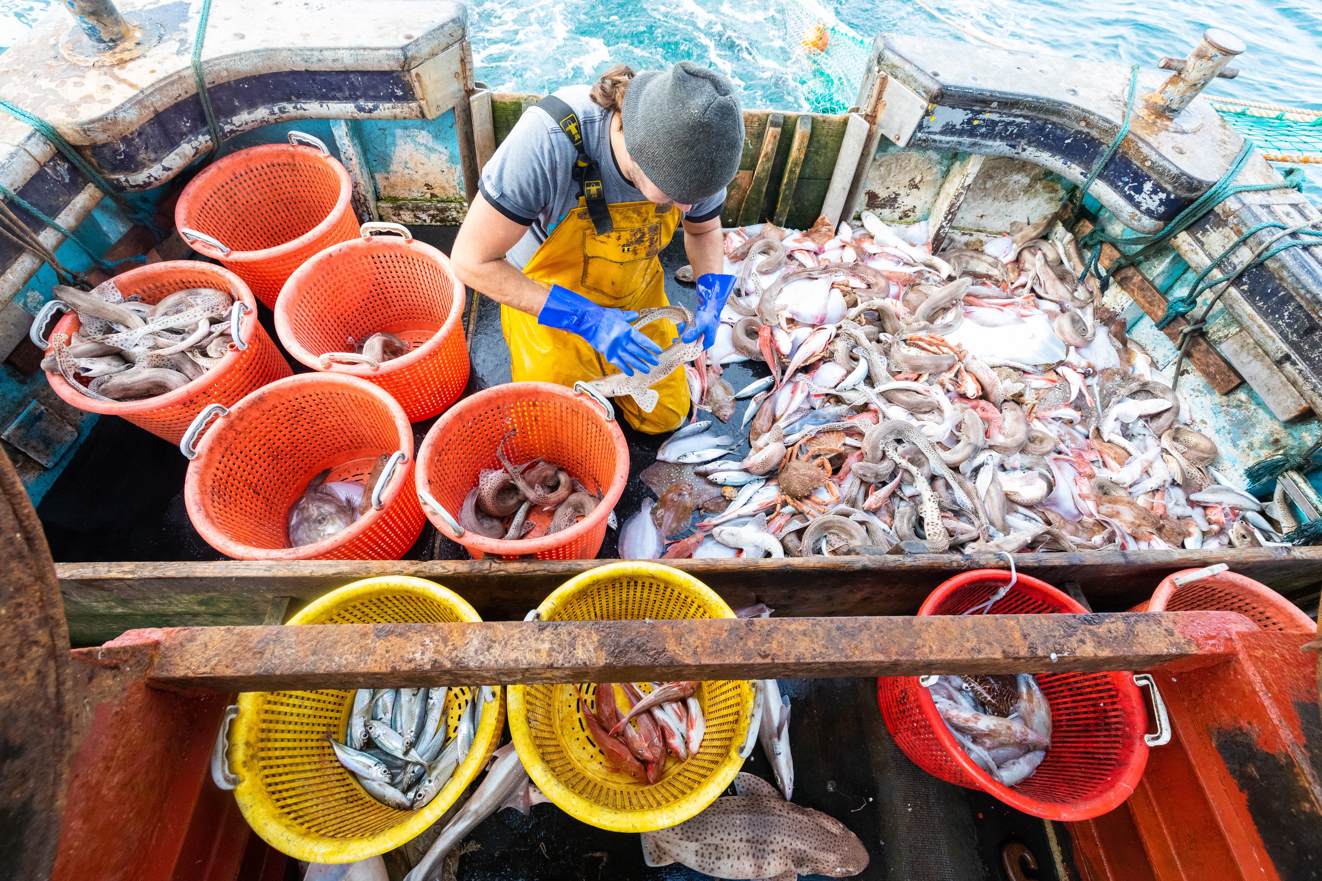 Disagreement over fishing quotas is one the hurdles facing negotiators this week